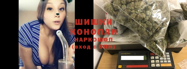 дмт Няндома