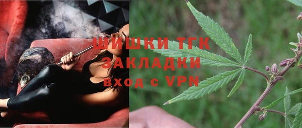 дурь Новодвинск